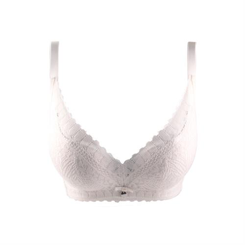 云端系列  无钢圈5D中厚杯