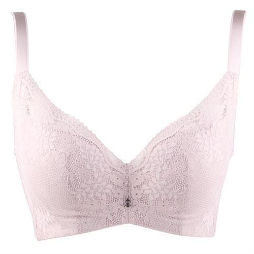 春色系列  记忆钢圈夹棉杯