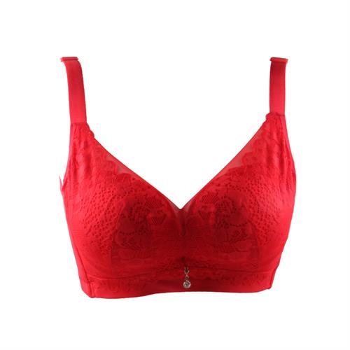 蔷薇花开系列 无钢圈中厚杯