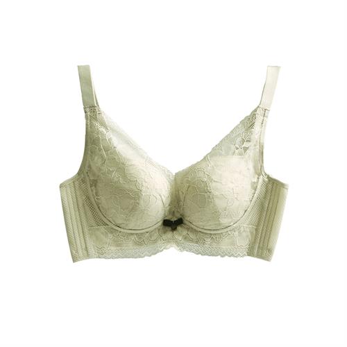 四季花语系列  无钢圈中厚杯